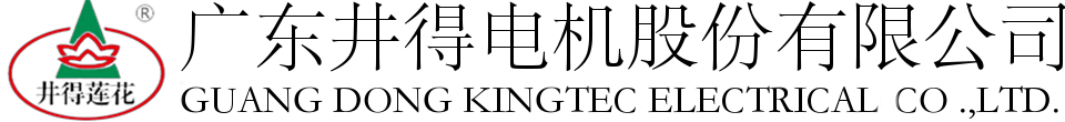 广东井得电机股份有限公司